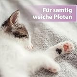 Felisept Pfotenpflege für Katzen 75g - Pfotenpflege Katze - Pfotenbalsam Katze - Schützt vor Austrocknung und Rissen - Schnell einziehend, ohne Fettfilm - Reichhaltige Pflege und Feuchtigkeit