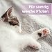 Felisept Pfotenpflege für Katzen 75g - Pfotenpflege Katze - Pfotenbalsam Katze - Schützt vor Austrocknung und Rissen - Schnell einziehend, ohne Fettfilm - Reichhaltige Pflege und Feuchtigkeit