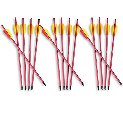 KingsArchery Crossbow Arrows Aluminum 17 inch (15 Pack) Long Arrows Set in Metallic Blue and Red for Hunting Crossbow Pistol Precision Target Arrow + KingsArchery Tech Support & Warranty KingsArchery Crossbow Arrows Aluminum 17 inch (15 Pack) Long Arrows Set in Metallic Blue and Red for Hunting Crossbow Pistol Precision Target Arrow + KingsArchery Tech Support & Warranty
