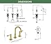 TimeArrow Brushed Gold 8 inch Widespread Bathroom Sink Faucet 3 Holes with Pop-Up Drain, 2 Handle Modern Bathroom/Vanity/Lavatory Faucet with Brass 360° Swivel Spout, TAF830Y-PB