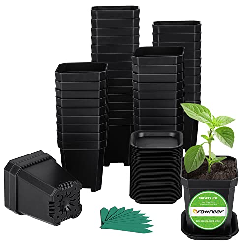 Growneer 60Pcs 2.7 Inches Nursery Pots With Trays, 50Pcs Plant Labels, Thickened Square Transplanting Pots Kit, Plant Seed Starter, Drain Holes, Germination, Home Décor, Garden, Balcony, Black #TOP15