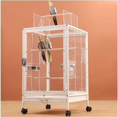 Bynar P[W Ƃ肩 CR o[hQ[W ^  傫  IJ CR  IE 46*46*77CM (ONAAN)