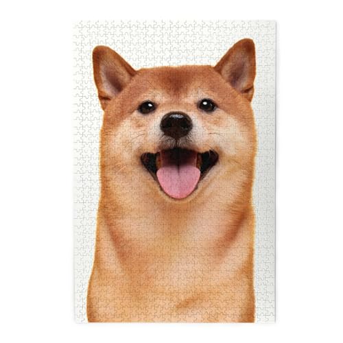  Č7 WO\[pY  ؐ mߋ  eqQ[ q l  W[ v[g pY 1000s[X