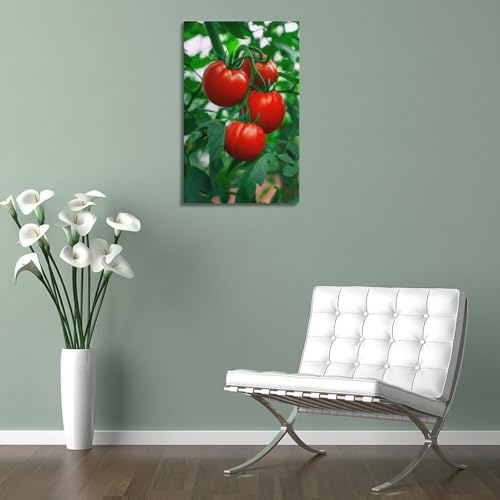 Affiche de tomates rouges sur vigne ZHOUKEG mur vide - 5