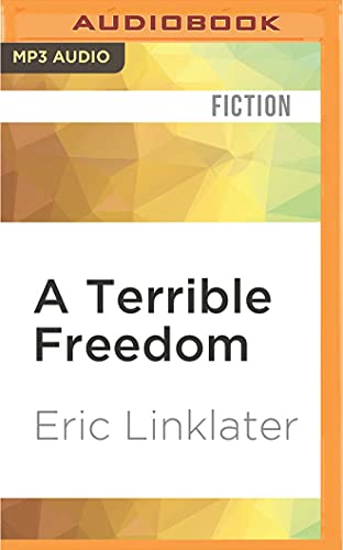 A Terrible Freedom view 2