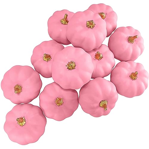 Winlyn 12 Pcs Small Artificial Pink Faux Pumpkins Decorative Foam Pumpkins for Fall Wedding Halloween Thanksgiving Baby Shower Table Centerpiece Farmhouse Mantel Decor