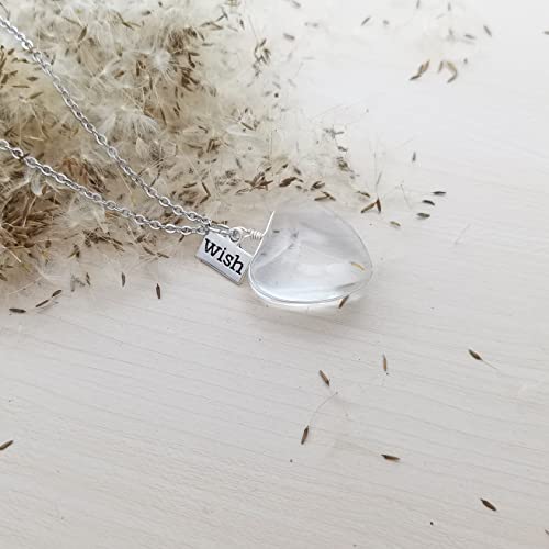 Aloha Collana Dente di leone Esprimi un desiderio Fiore Vero Soffione Catena in Acciaio Collane Idea Regalo Donna Compleanno Amica by