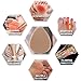 20 pcs Felt Metatarsal Pads for Women and Men, Adhesive Forefoot Pads Forefoot Cushion Pads, Ball of Foot Cushion Foot Pads for Forefoot and Sole Support, Metatarsalgia Mortons Neuroma