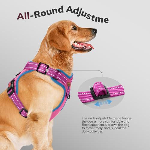 FAYOGOO Hundegeschirr, Kein Choke Front Clip Hund Reflektierendes Geschirr, No-Pull Verstellbare Weiche Gepolsterte Haustier Weste Set für kleine Mittlere Große Hunde Gehen (Rosa, M)