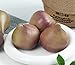 Skyseen 8PCS Realistic Artificial Fruits Lifelike Decorative Fig Photography Props Home Decoration