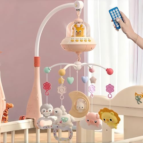 BRJX xr[xbhx 360x] 360x] ԏƖt Rt yߋ mQ  1574 yʒ߉\ O\ȐQ xr[IS[ 0 1 pi cp qp oYj v[g ([d,sN-