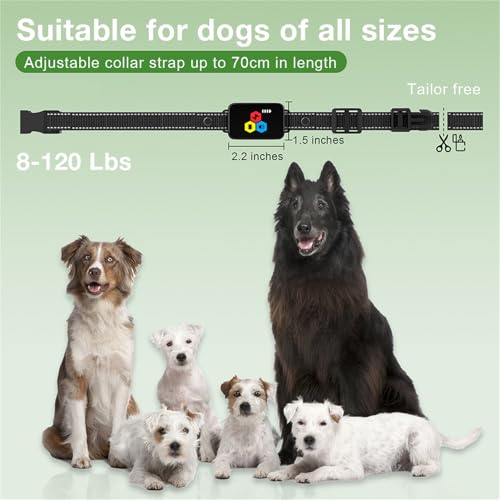 Generisch Trainingsequipment,praktisches und Neuartiges,2025 Neuheit Erziehungshilfen für Hunde,EAgility-Ausrüstung für das Hundetraining,Alle Größen von Hunden können verwendet Werden (1il)