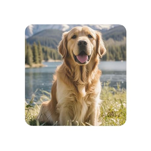 Calamite da frigorifero per armadietto, lavagna, magnete magnetico per frigorifero, Golden Retriever, magnete decorativo per frigorifero, per cucina, ufficio, vetrinetta e lavastoviglie