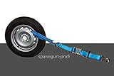 1 x Losende 50mm breit mit 1-Fingerspitzhaken und angenähter Schlaufe (Länge: 1,7m + 0,3/0,6m)