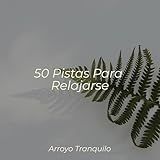 Arroyo Tranquilo