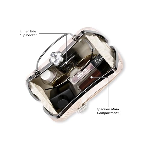 Image of Lavie Signature Women's Bangor Handle Framed Clutch | Ladies Purse | Gift For Women