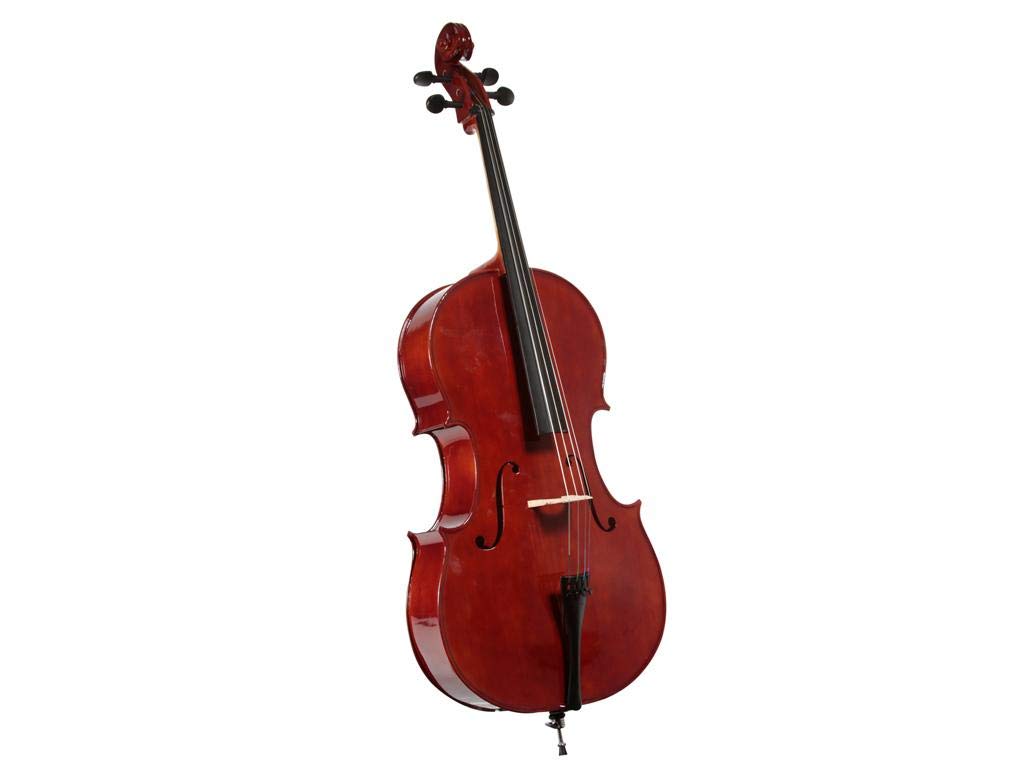 Stagg 14335 44 Tamaño Violonchelo
