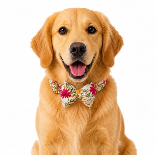 Image of Premium Dog Collar with Bow Tie, Adjustable Size, Lightweight | for 23-35 Kilograms Dogs (L, Floral)