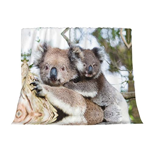 Couverture koala bear en flanelle douce, idée cadeau originale