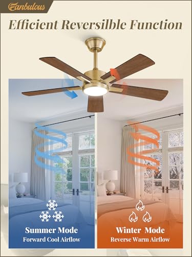 Image of Fanbulous 42 Inch Black and Gold Ceiling Fans with Lights and Remote, Stepless Color Temperature Change & Dimmable 20W LED Ceiling Fan, 6 Speeds Reversible Quiet DC Motor for Bedroom, Living Room