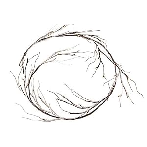 Fudios Christmas Garland Lights Snow Flocked 6FT 48 LED Battery Operated for Winter Decor Lighted Snowy Garland Vine Home Holiday Party Mantle Indoor Outdoor Use