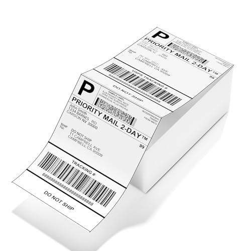 Etichette termiche, 4x6 etichette termiche dirette, etichette di spedizione a fisarmonica, compatibili con Etsy, Shopify, Ebay, Amazon, Royal Mail, FedEx, UPS, confezione da 500