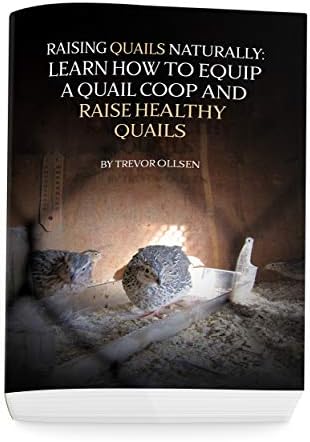 Raising Quails Naturally: Learn How To Equip A Quail Coop And Raise Healthy Quails