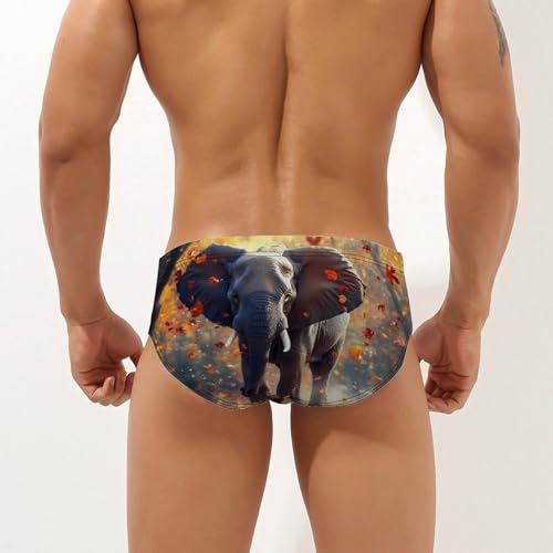 Elephant African Autumn Men's Swimming Trunks Briefs Beach Swimwear Low Rise Bikini Swimsuit Print Bathing Suit2