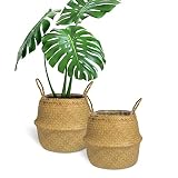 GAIAMADE Set of 2 Woven Seagrass Basket with Handles and Liner for Plant Pot, Belly Basket, Storage