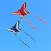 HENGDA KITE for Kids and Adults Amazing Colorful Butterfly Kite for Outdoor Games and Activities Single Line Kite with Flying Tools