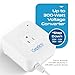Ceptics 300-Watt Voltage Converter - Step Down - 220v to 110v / 240v to 120v Travel Power Converter - for Hair Straightener, Laptops and Chargers, CE Certified