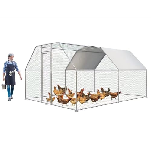 { Lbg Op{P[W ^ hJo[t{ Aq T[N hJ O{B p |₷ hAt(,4*3*2m)