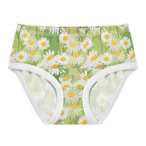 Joisal Cotton Girls Underwear Toddler White Daisies Light Green Beige Little Girl Panties Designer Underpants Briefs 2t
