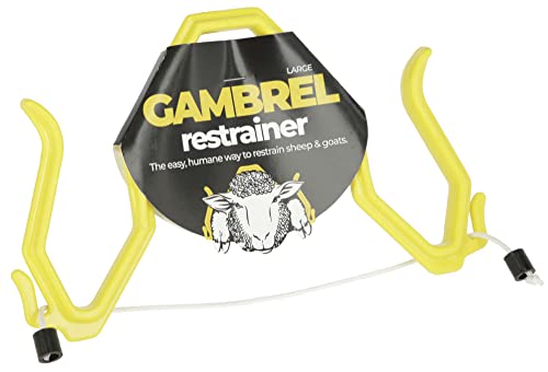 Immobilisierungsbogen Large Für Ziegen & Schafe – 22,5 Cm, Aus Polycarbonat, Wiederverwendbar, Von Holland Animal Care