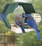 Window Buddy Deluxe Window Bird Feeder, Includes Perch, 3D...
