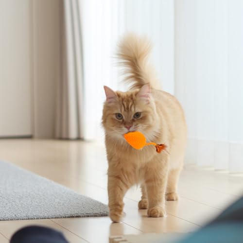 Jouet interactif pour chat télécommandé sonore pour cour et balcon - 4