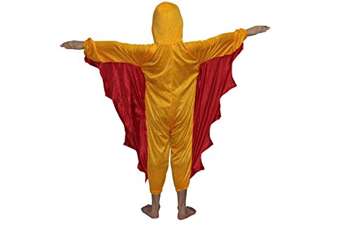 Image of Kaku Fancy Dresses Birds Costume for Kids