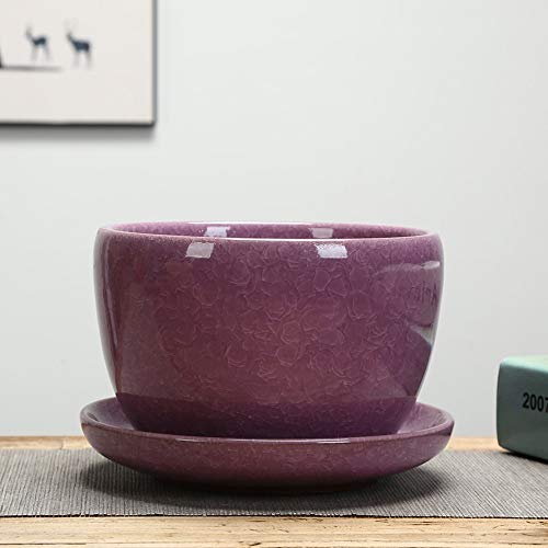 Pots de fleurs en céramique craquelée YRYRYW pour mini bonsai et plantes grasses de maison