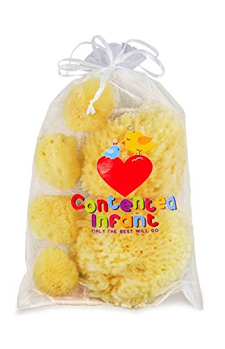 Real Sea Sponges for Babies - 6 Pk Bath Care Set, Gentle, Kind