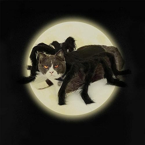 aranha Halloween para animal estimação - Diversão Realista Cachorros Gatos Cosplay Roupa,Suprimentos