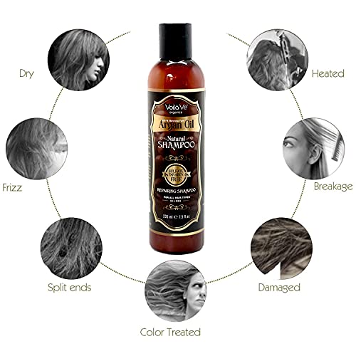 Voilave Moroccan Argan Oil Shampoo - Moisturizing Shampoo For Damaged, Color Treated Weak Hair & Dry Scalp Care - Hydrating Shampoo For All Hair Types - Paraben & Sulfate Free - As Seen On Tv - 8 Oz #TOP7