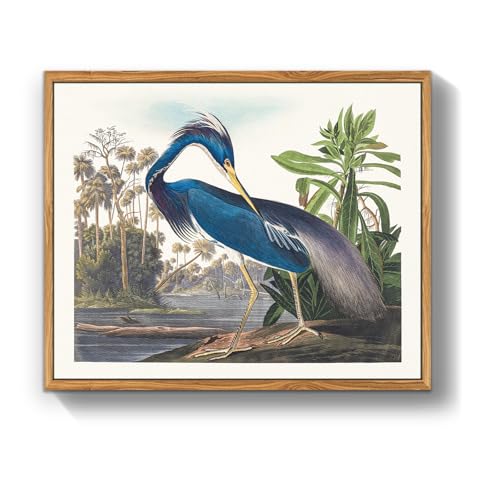 crmotu Bird Framed Wall Art, Heron Vintage Wall Decor Paintings, Nature Animal Canvas Art Prints, Still Life Aesthetic Wall Pictures for Living Room Bedroom Bathroom Farmhouse Cottagecore, 12x16inch