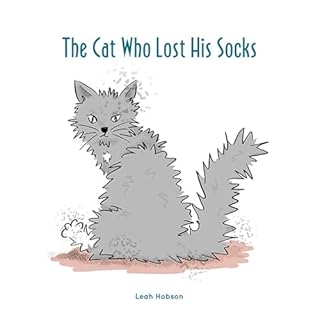 The Cat Who Lost His Socks Audiobook By Leah Hobson cover art