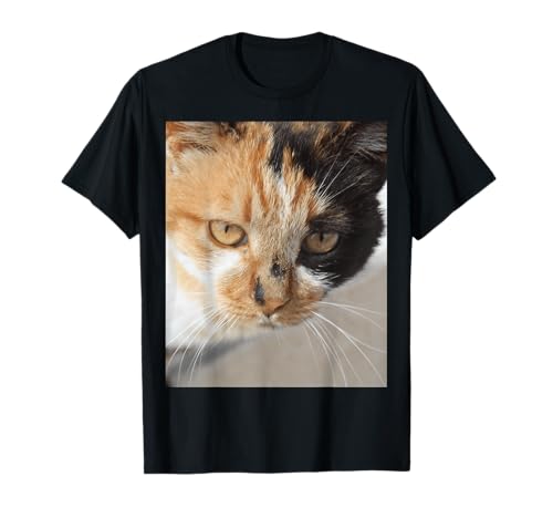 Portrait de chat tricolore orange noir et blanc T-Shirt