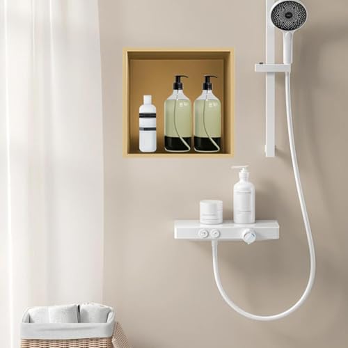 Douche en acier inoxydable pour ranger le savon et libérer l'espace
