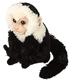 kapuzinerkresse kaufen In naturgetreuem Design Wild Republic Plüsch Kapuziner Affe Cuddlekins Kuscheltier, Plüschtier, 20cm