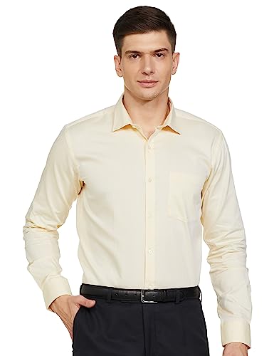 Image of Park Avenue Men's Cotton Regular Fit Shirt