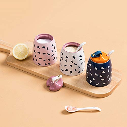 XYNSNDB GaRcan Bottiglia di condimento in Ceramica di Silicone con Cucchiaio Scatola di spezie Organizer per la casa Strumento da Cucina per Sale, Pepe, Zucchero (Rosa)