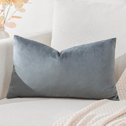 Artscope Luxury Velvet Cushion Covers Decorative Rectangle Pillowcases Soft Solid Cushion Cases for Couch Sofa Bedroom Car Decor 40x60cm Graphite Gray