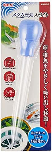 Amazon ジェックス メダカ元気 スポイト 卵 稚魚の移動 水換え お掃除用 ジェックス 水交換用具 通販